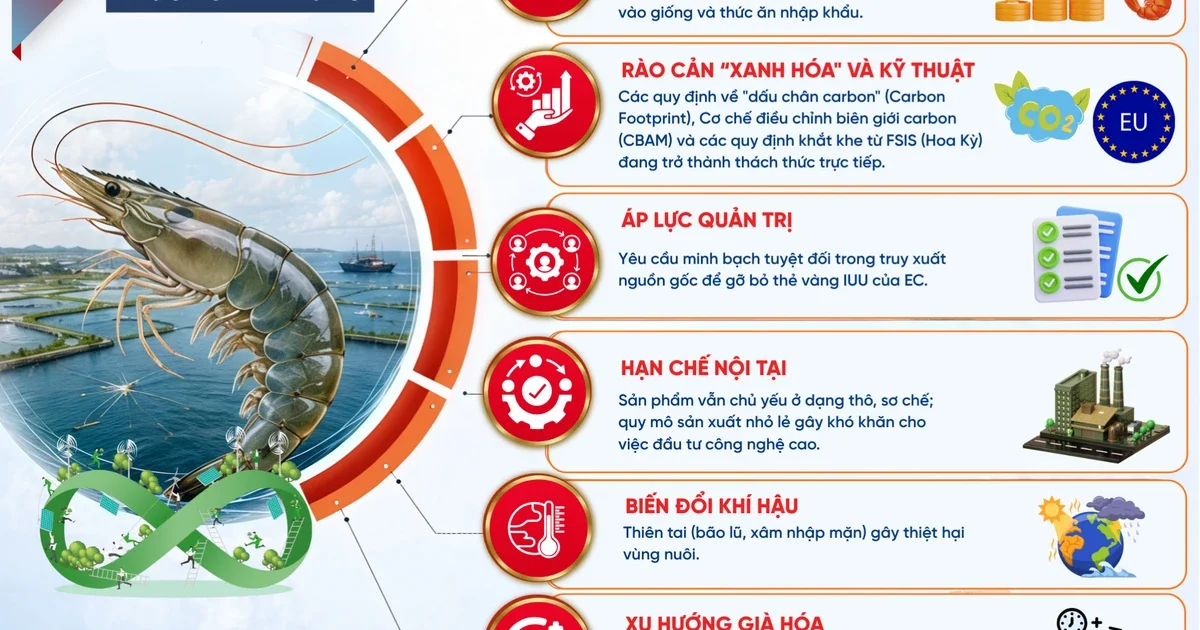 Ngành thủy sản vươn mình thành “trụ cột xanh”: Từ kim ngạch xuất khẩu 11 tỷ USD nhìn về cơ cấu dòng tiền và rào cản kỹ thuật