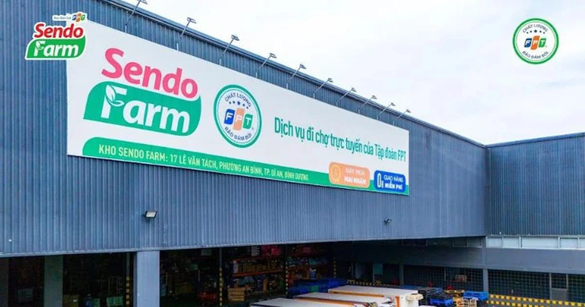 Sendo Farm dừng hoạt động: Áp lực cạnh tranh và chiến lược tái cơ cấu dòng tiền trong bán lẻ trực tuyến