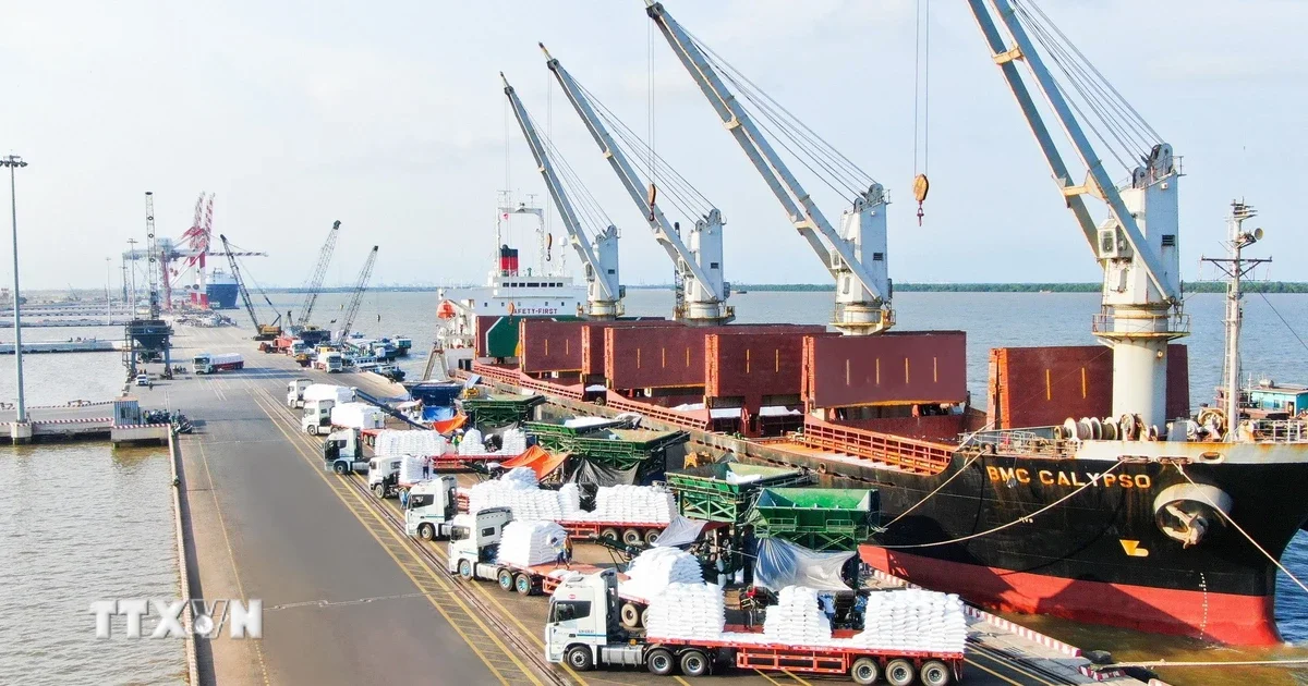 Cảng Quốc tế Long An: Doanh nghiệp Việt đầu tiên đạt giải 'Cảng xanh thông minh' – Tín hiệu cho dòng vốn ESG vào hạ tầng logistics