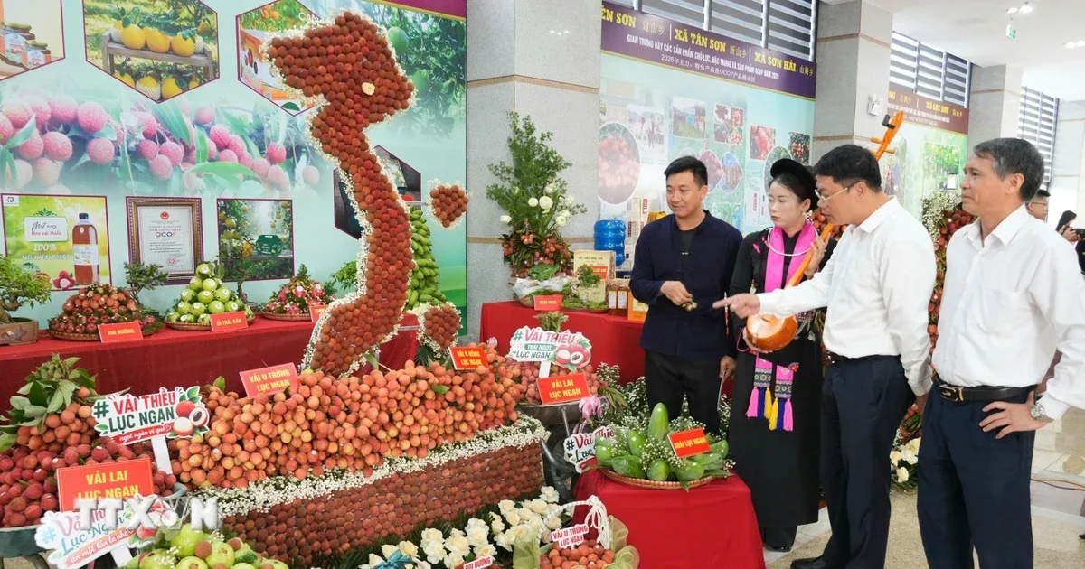 Hệ thống truy xuất nguồn gốc nông sản chính thức vận hành: Dữ liệu số hóa và tác động đến chuỗi giá trị nông sản Việt