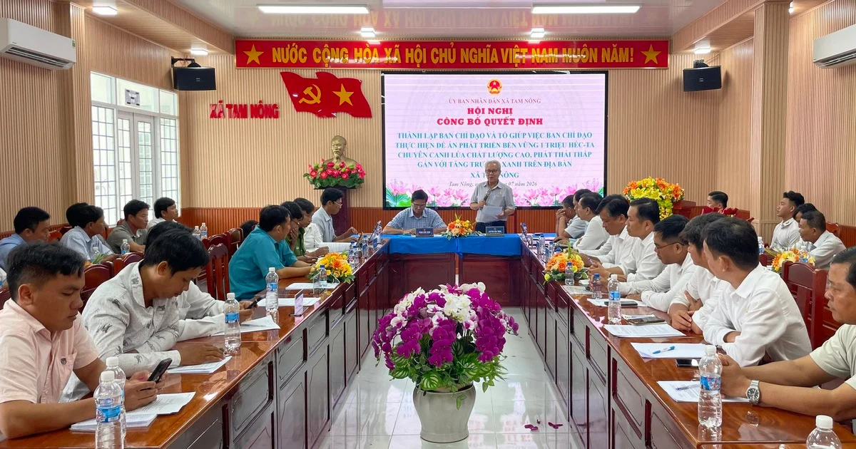 Đề án 1 triệu hecta lúa: Mô hình điều phối cấp xã và mục tiêu giảm phát thải