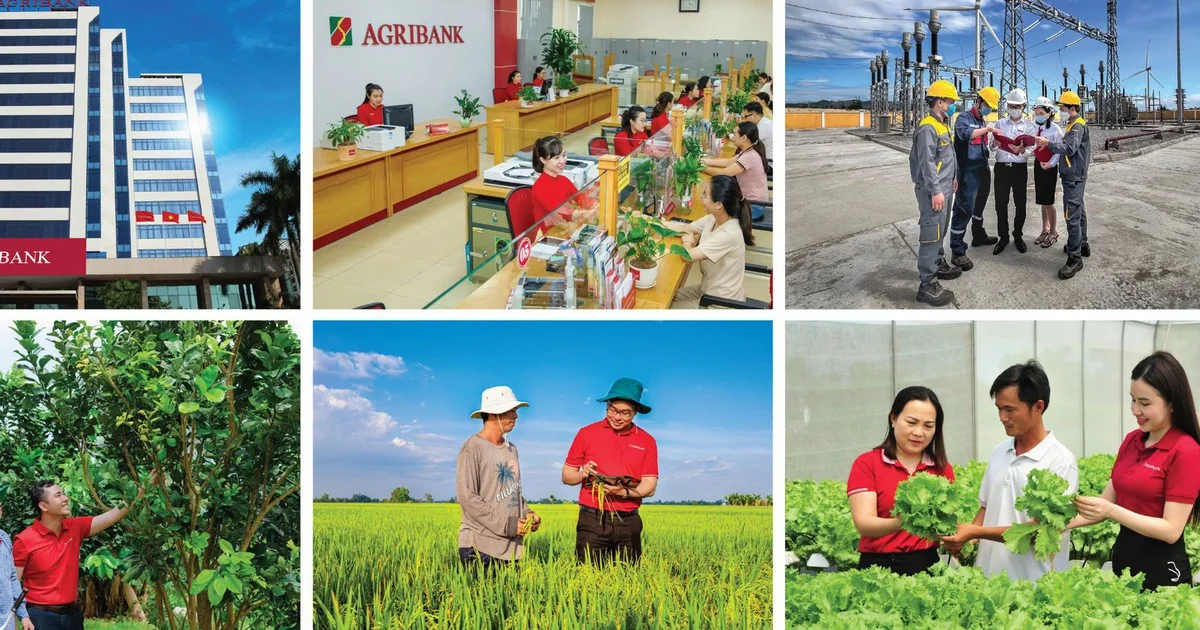 Bổ sung 29.690 tỷ đồng vốn điều lệ cho Agribank: Đòn bẩy tín dụng và áp lực chuẩn mực Basel III