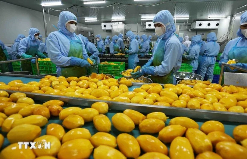 Phái đoàn thương mại nông nghiệp Mỹ đến Việt Nam: Cơ hội và áp lực cho dòng chảy hàng hóa xuyên biên giới