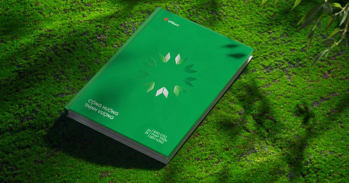 VPBank kiểm chứng độc lập 15 chỉ tiêu ESG: Tín hiệu nâng chuẩn minh bạch cho dòng vốn xanh