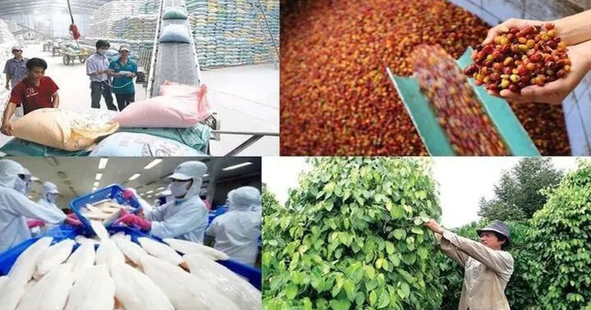 Xuất khẩu nông lâm thủy sản: Tham vọng 100 tỷ USD và bài toán giá trị gia tăng trên mỗi đơn vị sản phẩm