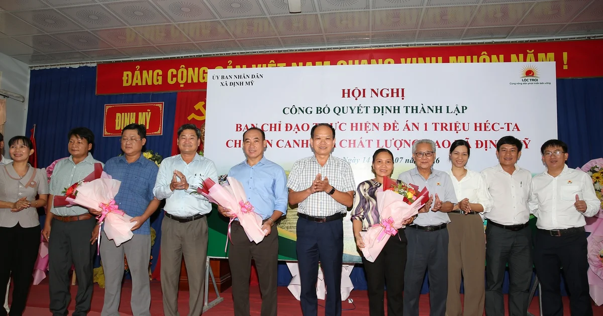 Đề án 1 triệu ha lúa: Chính quyền cấp xã giữ vai trò 'nhạc trưởng' trên cánh đồng – Góc nhìn từ cấu trúc dòng vốn và rủi ro chính sách