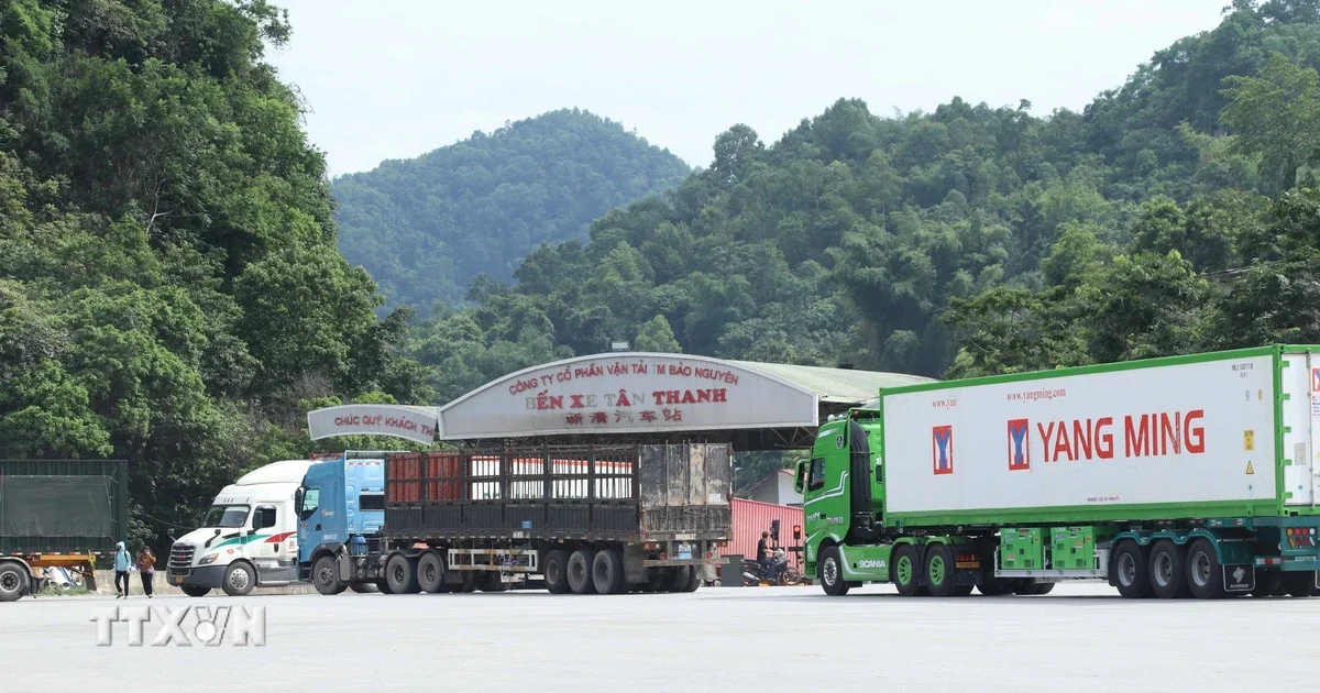 Từ chỉ thị thông quan nhanh nông sản: Áp lực thanh khoản chuỗi cung ứng và tín hiệu vĩ mô cho dòng hàng xuất khẩu