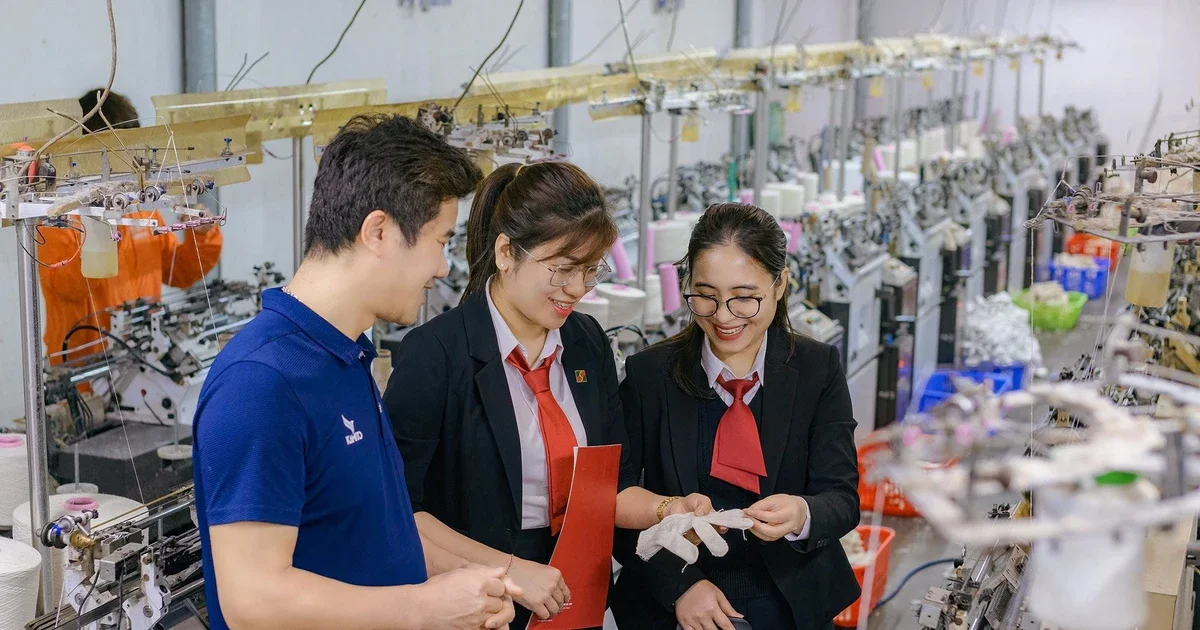 Từ câu chuyện 'chuyển đổi xanh' của HSBC: Nhìn về áp lực dòng vốn và chiến lược tài chính bền vững tại Việt Nam