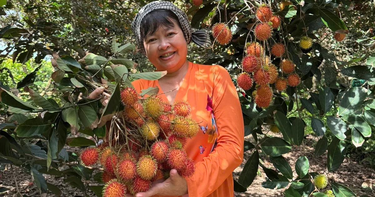 Từ câu chuyện sầu riêng, chôm chôm, măng cụt miền Tây đồng loạt rớt giá: Nhìn về áp lực cung vượt cầu và tác động đến thu nhập nông hộ