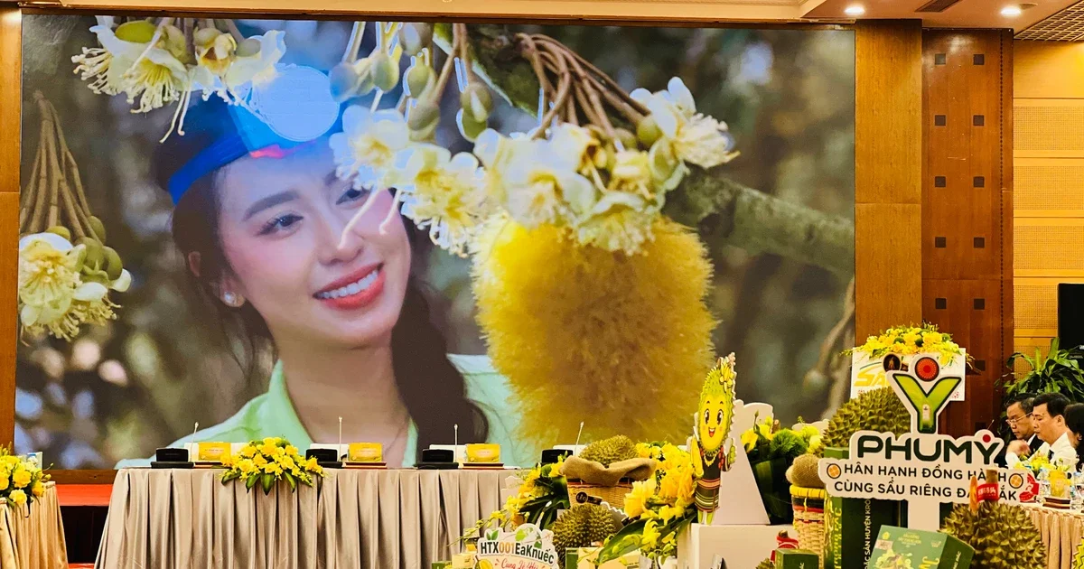 Lễ hội Sầu riêng Đắk Lắk 2026: Từ quy mô tổ chức đến áp lực thương mại và dòng tiền nông sản