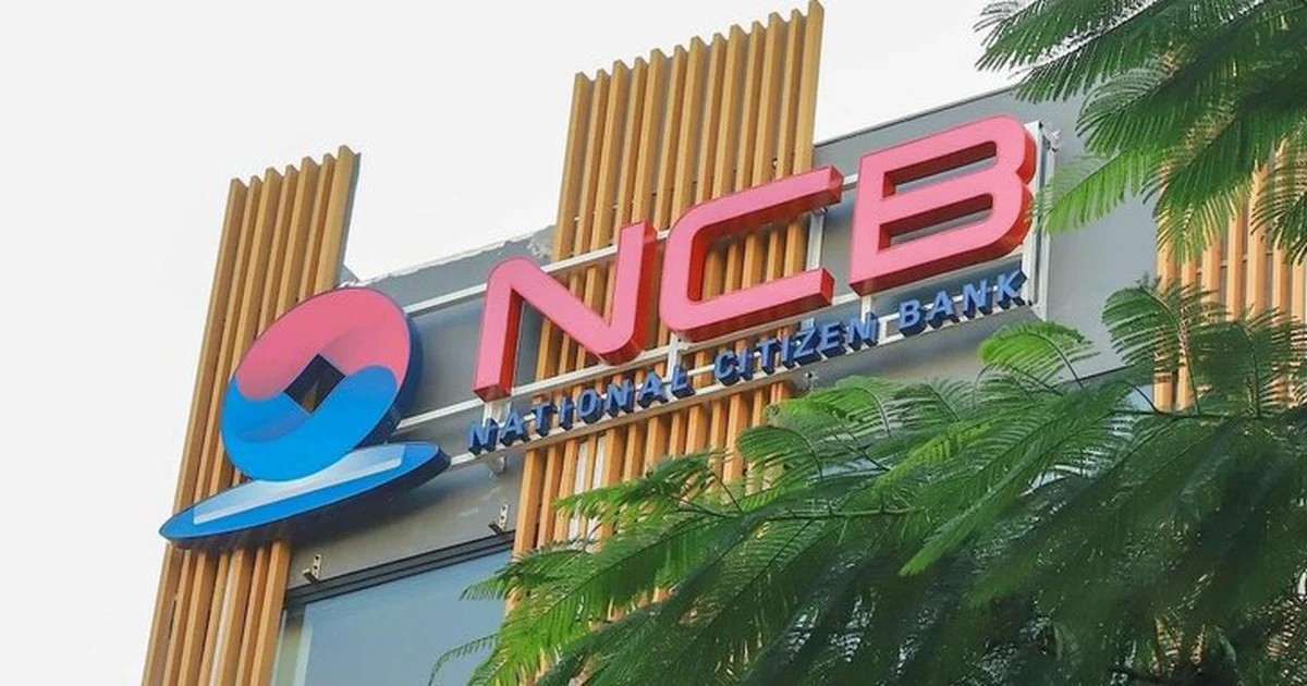 Lộ diện 22 nhà đầu tư nắm 75,4% vốn điều lệ NCB: Bài toán cơ cấu sở hữu và áp lực thanh khoản