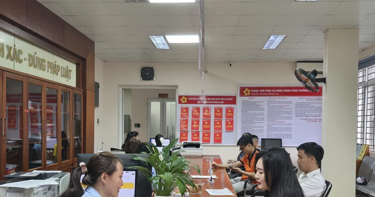 Quảng Ninh Tăng Cường Quản Lý Đất Đai: Hiện Thực Hóa Mục Tiêu Phát Triển Bất Động Sản