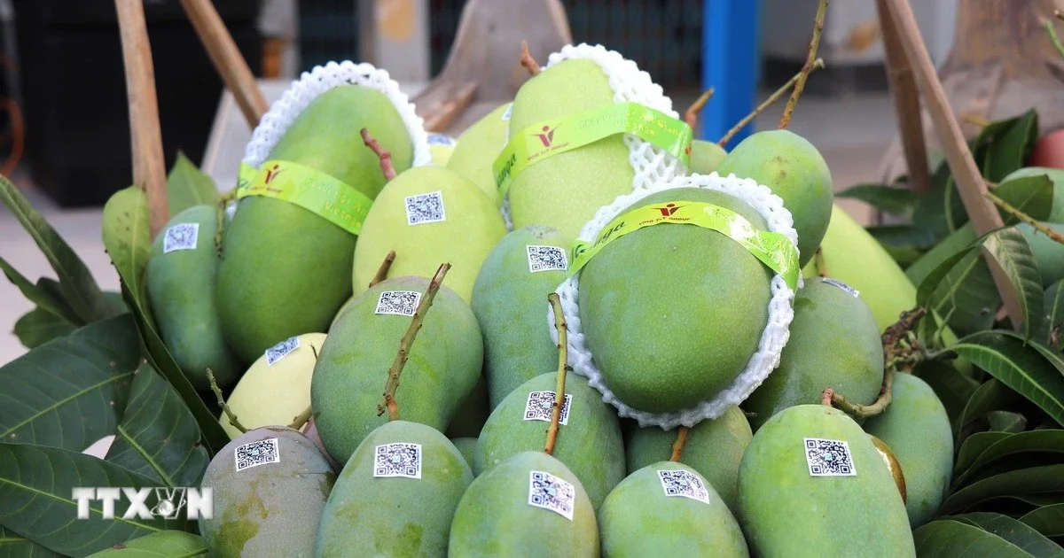 Bộ Công Thương sẽ thúc đẩy đối thoại với Hoa Kỳ sau kết luận thuế Mục 301