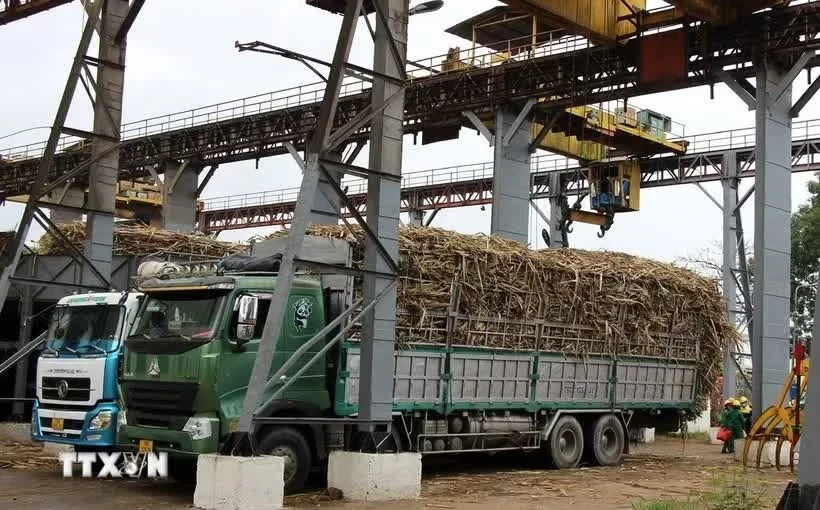 Bộ Công Thương nâng cao hệ thống cảnh báo sớm phòng vệ thương mại: Bài toán chi phí cho doanh nghiệp xuất khẩu