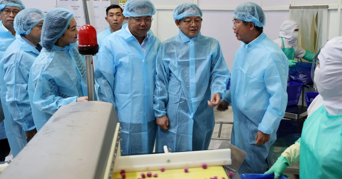 Từ mục tiêu 100 tỷ USD xuất khẩu nông sản: Nhìn về áp lực chuỗi liên kết và dòng vốn đầu tư