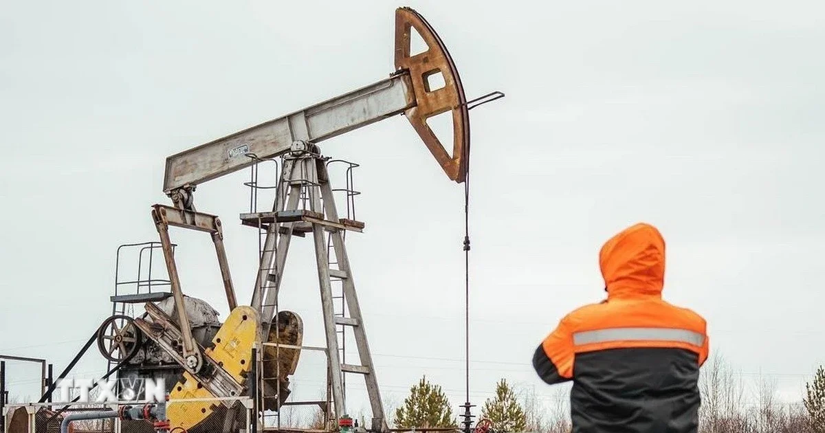 EU gia hạn mức trần giá dầu Nga: Áp lực địa chính trị và tác động đến thị trường năng lượng