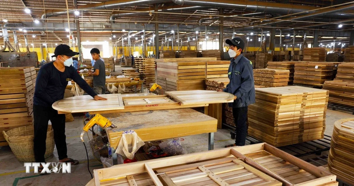Ngành gỗ Việt Nam: Tăng trưởng xuất khẩu 8,54 tỷ USD và bài toán chuỗi cung ứng hợp pháp
