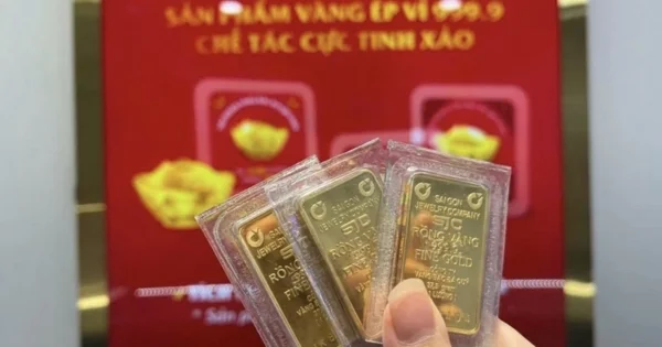 Giá vàng miếng giảm 1,4 triệu đồng: Áp lực từ lãi suất Fed và dòng tiền phòng thủ