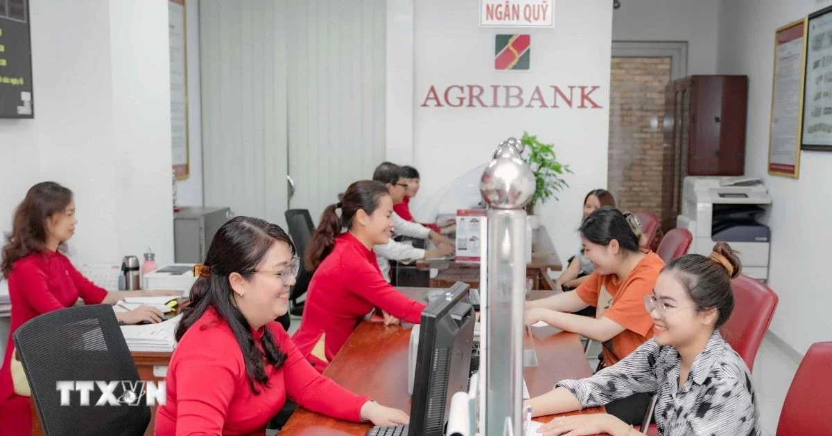 Chứng chỉ tiền gửi tăng nhiệt – Cuộc đua lãi suất tiết kiệm dưới góc nhìn dòng tiền