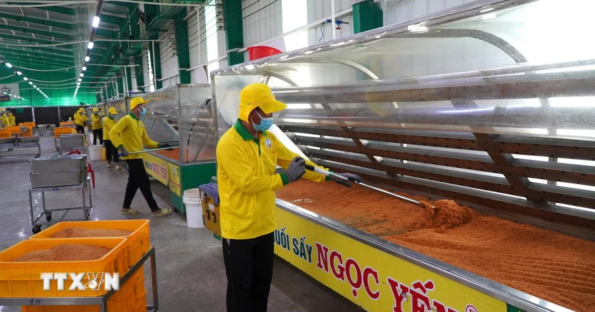 Khoảng cách tín dụng 20% của SME: Nút thắt cơ cấu trong hệ thống tài chính Việt Nam