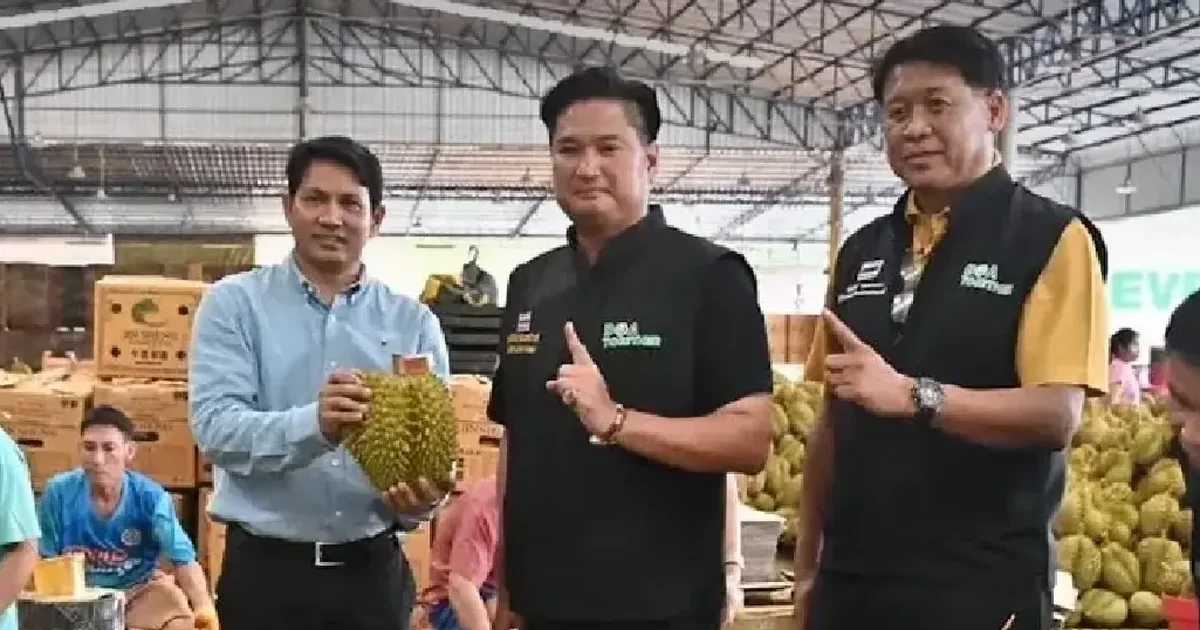 Từ kỷ lục xuất khẩu sầu riêng Thái Lan: Bài học về quản trị chuỗi cung ứng và tác động đến dòng vốn hàng hóa