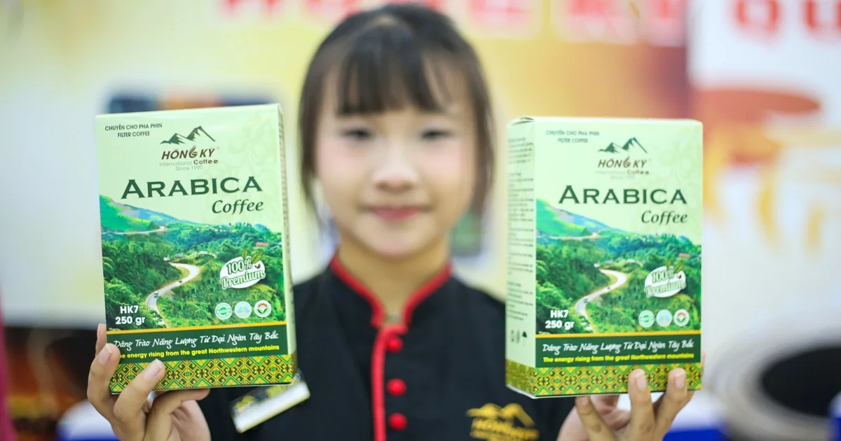 Chiến lược mở rộng cà phê Arabica tại Điện Biên: Tác động đến nguồn cung hàng hóa và giá cả