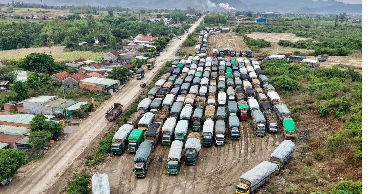 Đắk Lắk lo vùng trồng mía lớn mất lợi thế vì đường nhập lậu