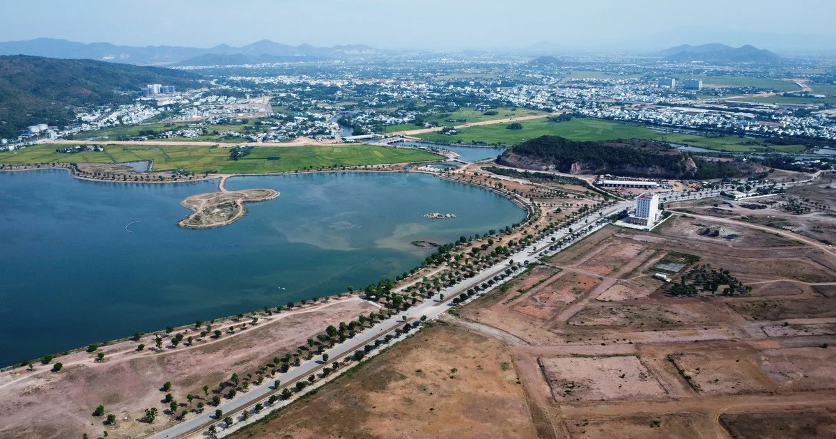 Chuyển đổi 12,4ha rừng phòng hộ ở Quy Nhơn cho dự án đô thị Hồ Phú Hòa: Quy mô 21.954 tỉ đồng và bài toán thanh khoản bất động sản