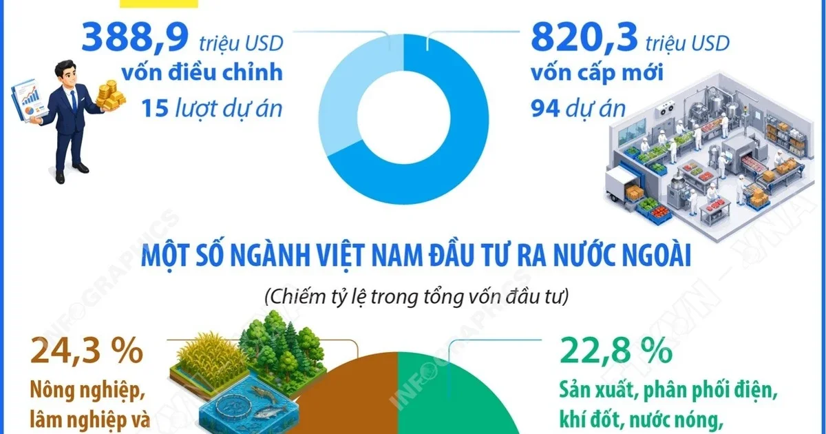 Dòng vốn đầu tư ra nước ngoài của Việt Nam tăng gấp 2,5 lần trong 6 tháng đầu năm 2026: Phân tích cơ cấu ngành