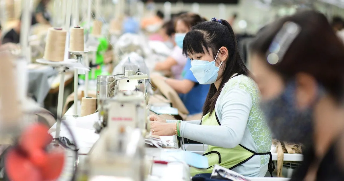 Chuỗi cung ứng dệt may Việt-Mỹ: Dòng chảy bông và hàng may mặc đang vận hành ra sao?