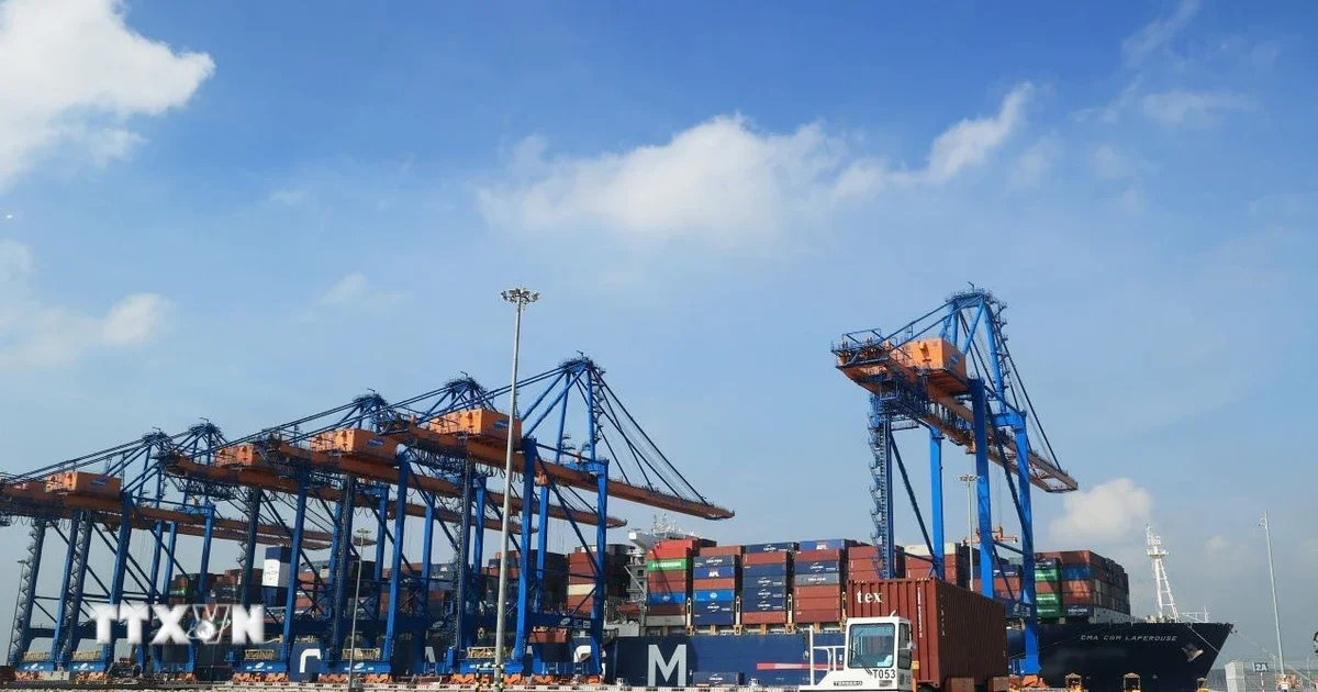 Áp lực chi phí logistics tăng cao: Từ thực tế doanh nghiệp xuất khẩu nhìn về biên lợi nhuận và dòng tiền ngành hàng