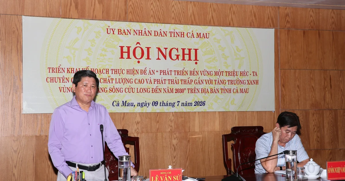 Từ 1.380 ha đến mục tiêu 54.680 ha: Cà Mau tìm lời giải mở rộng diện tích lúa chất lượng cao
