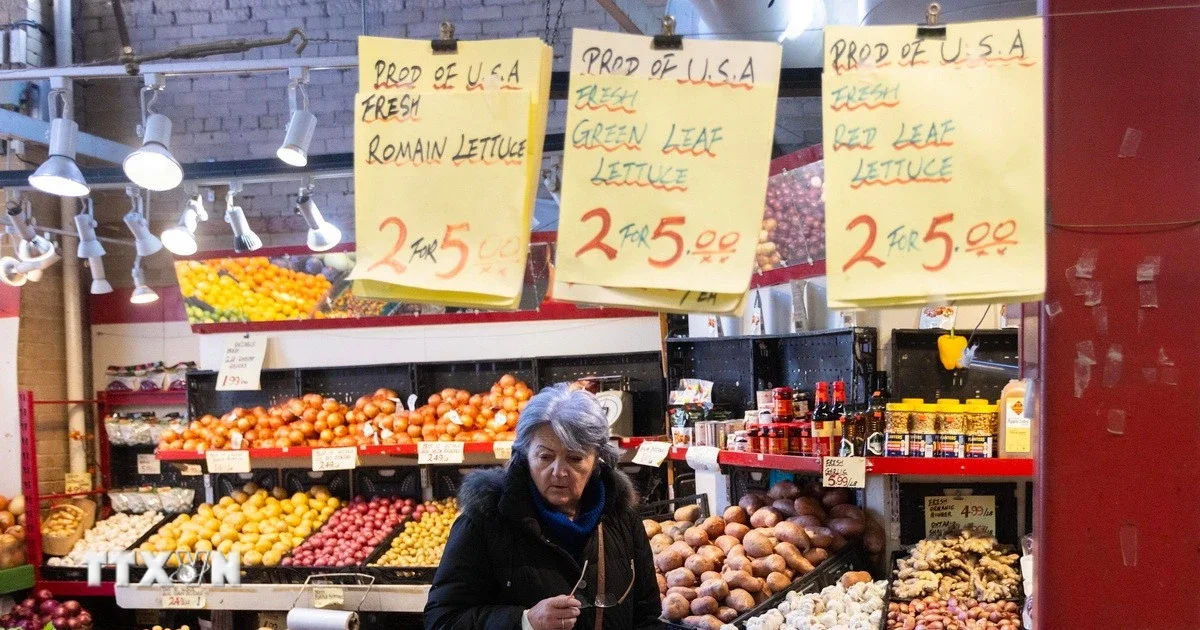 Từ câu chuyện GDP giảm tốc của Canada: Áp lực năng suất và tác động lên dòng vốn toàn cầu