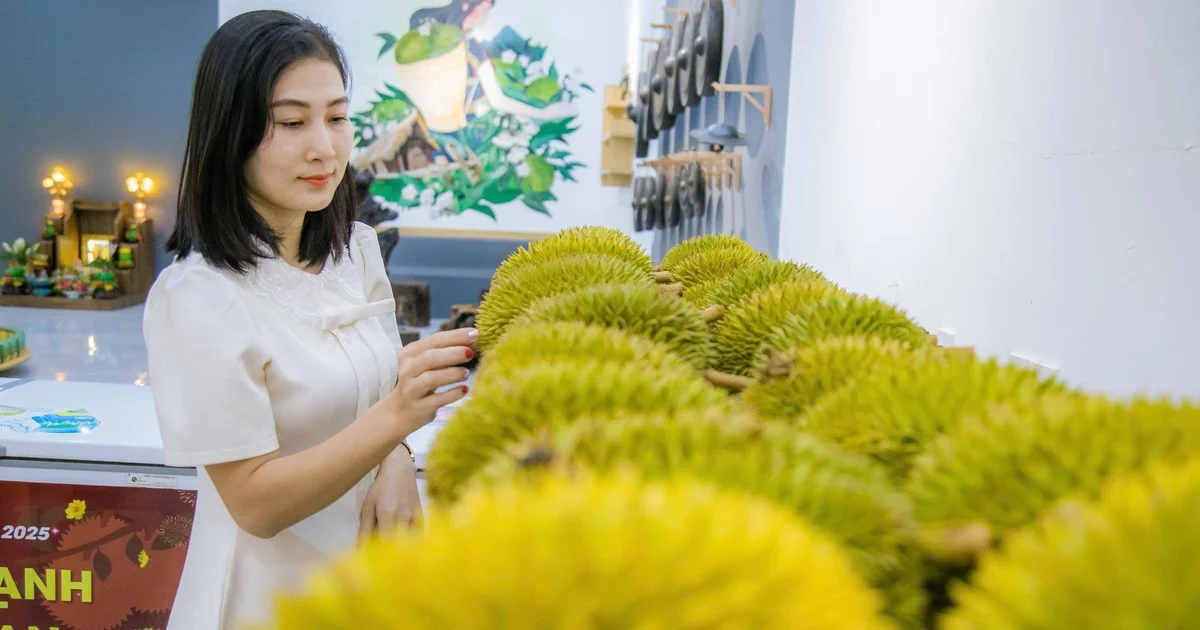 Áp lực chuỗi cung ứng sầu riêng Việt Nam: Từ bài toán giá 70.000 đồng/kg đến yêu cầu tái cấu trúc ngành hàng tỉ đô