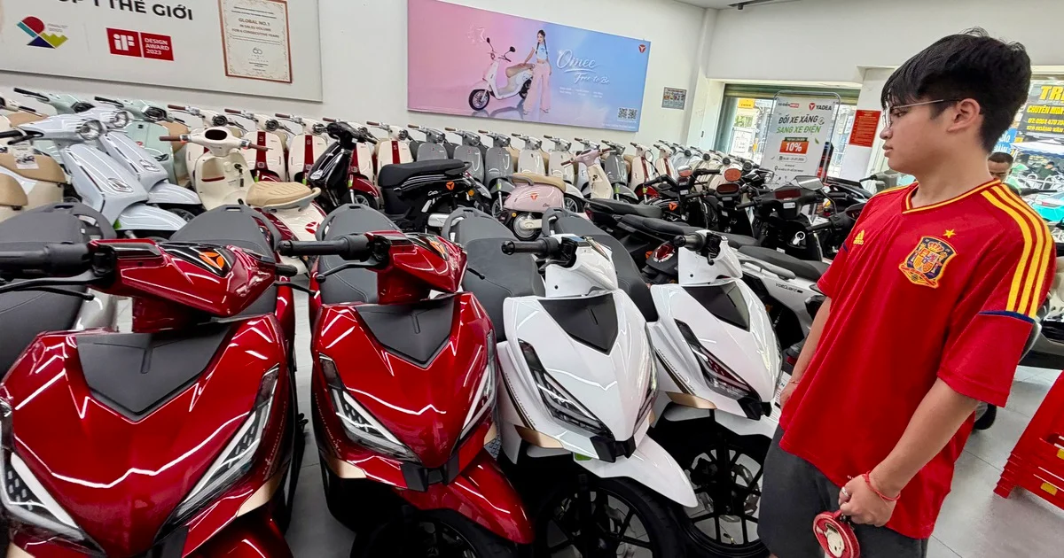 Từ thị trường xe điện không cần bằng lái: Áp lực tồn kho và dịch vụ 'độ pin' rủi ro