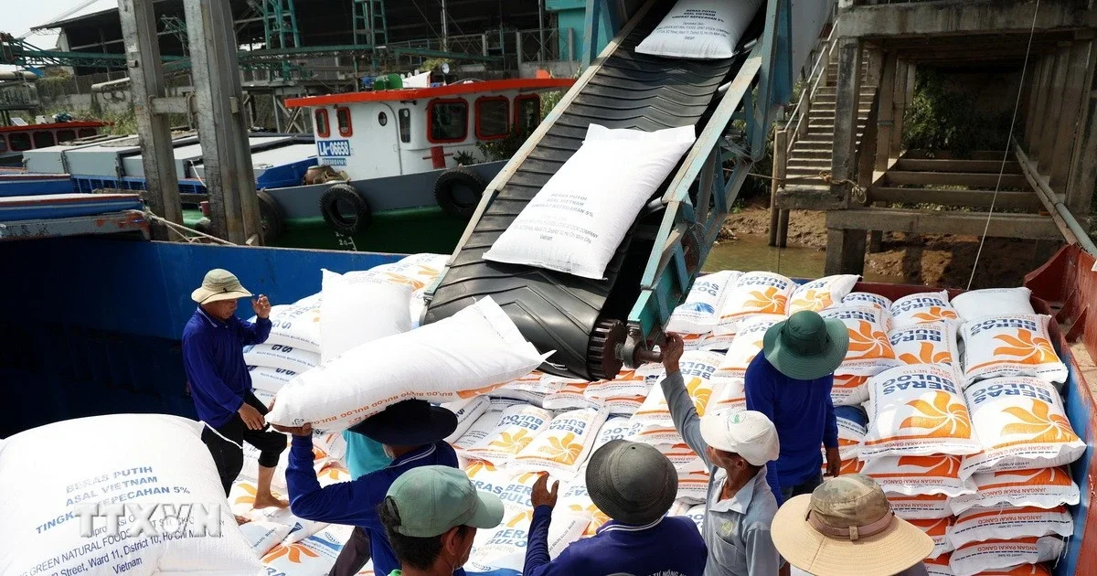 Xuất khẩu nông lâm thủy sản 6 tháng đầu 2026: Tăng trưởng 6% nhưng thặng dư thu hẹp – Tín hiệu gì cho dòng tiền hàng hóa?
