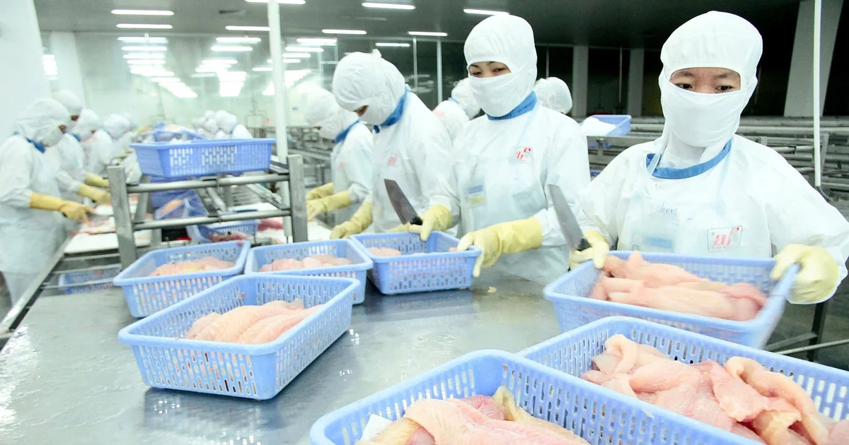 Từ cảnh báo của Thương vụ Việt Nam tại Mỹ: Áp lực điều tra thương mại và thách thức thanh khoản cho ngành xuất khẩu tỉ USD