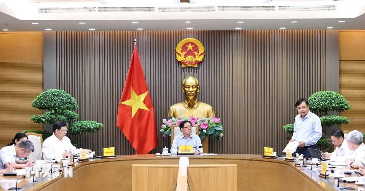 Từ điểm nghẽn mã số vùng trồng sầu riêng: Áp lực cải cách thủ tục hành chính và bài toán thanh khoản chuỗi cung ứng