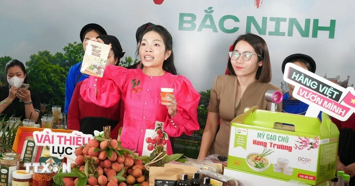 Từ câu chuyện Bắc Ninh: Nhìn về động lực tăng trưởng kinh tế số và dòng vốn công nghệ
