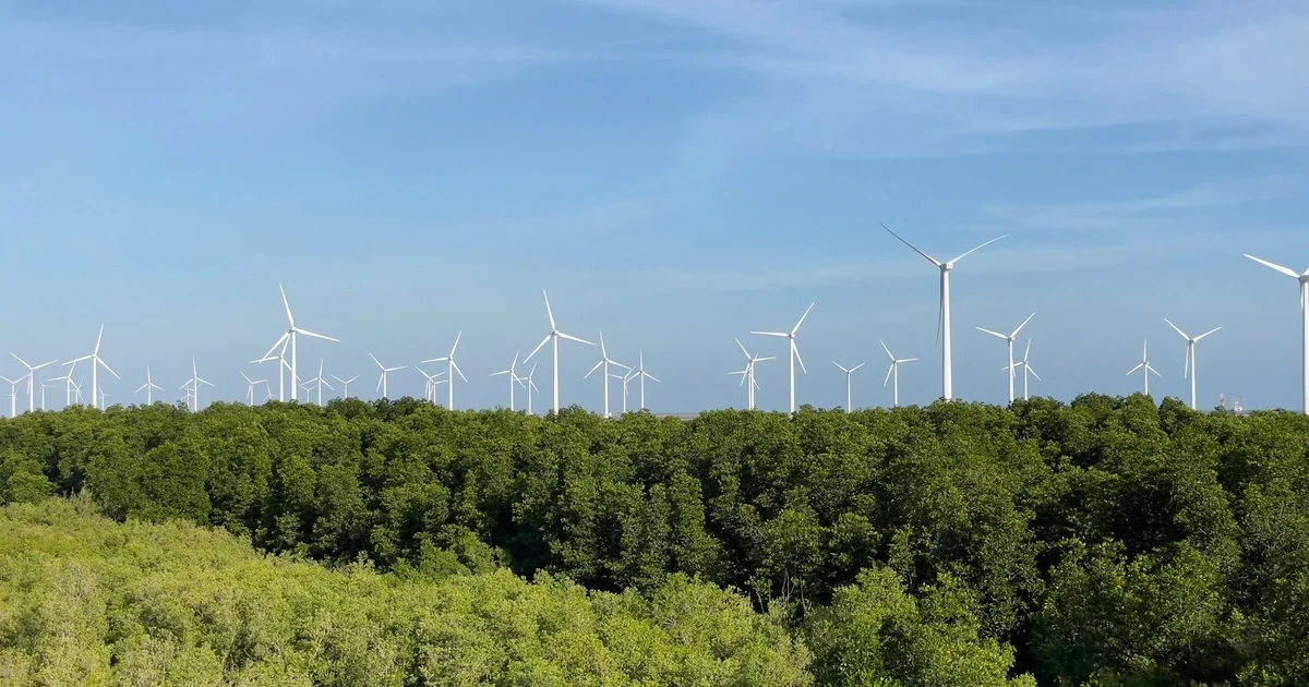 Đường dây 500kV LNG Bạc Liêu - Thốt Nốt: Hạ tầng truyền tải và câu chuyện chậm tiến độ của dự án điện khí 4 tỷ USD