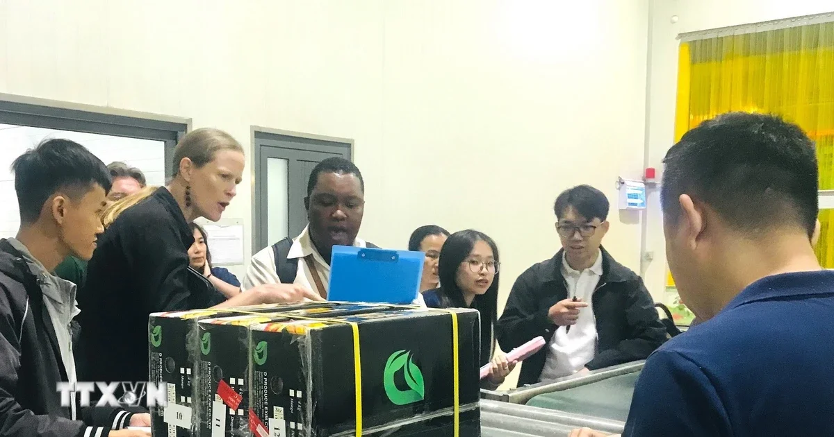 Nhà máy chiếu xạ Toàn Phát vận hành song song Gamma và X-ray: Nút thắt hạ tầng sau thu hoạch được nới lỏng cho xuất khẩu trái cây sang Hoa Kỳ
