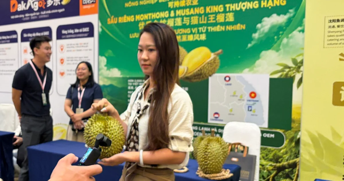 Từ cơn sốt sầu riêng trên Douyin: Cấu trúc thương mại và hàm ý đa thị trường