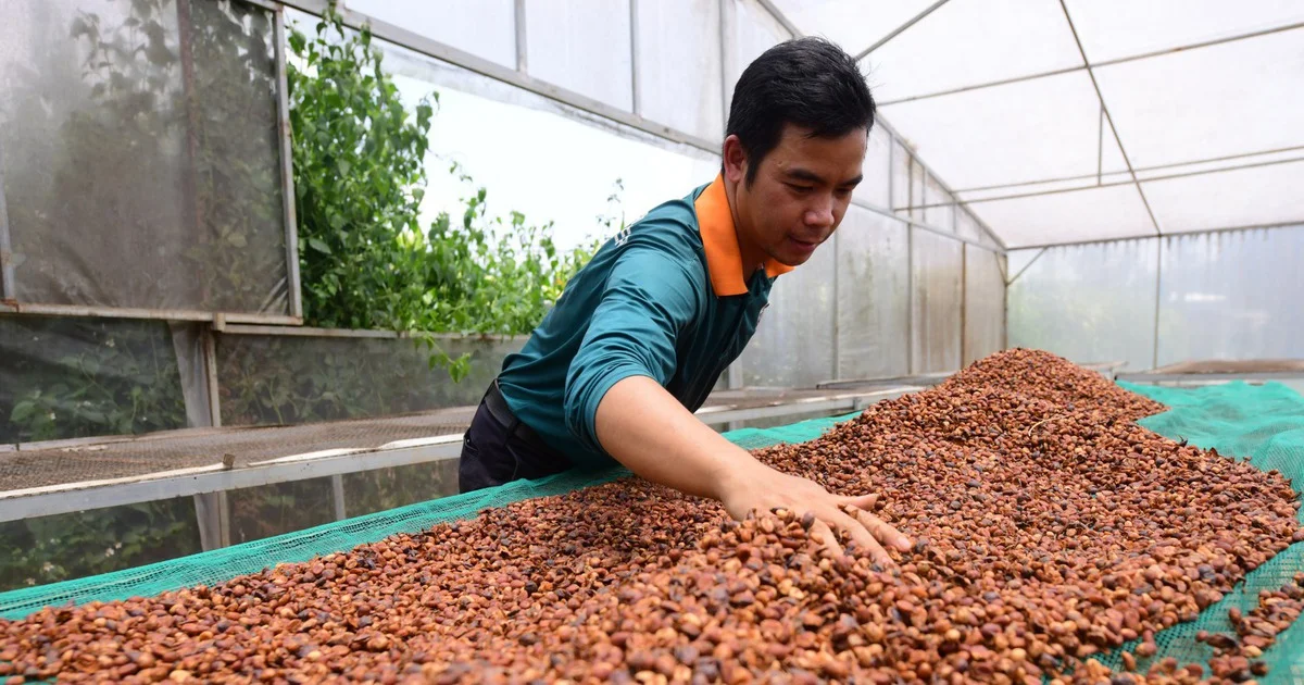 Dưới 50 doanh nghiệp nông nghiệp công nghệ cao: Bài toán đầu tư và tác động đến chuỗi cung ứng hàng hóa