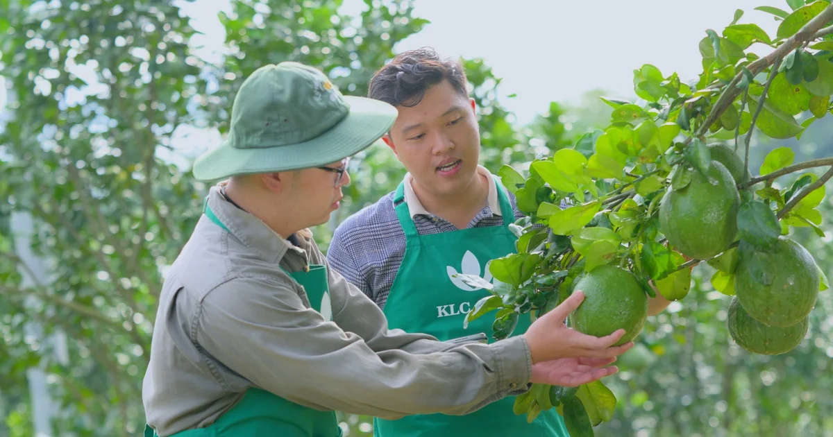 Từ câu chuyện tái cấu trúc nông nghiệp: Áp lực đầu tư quy mô lớn và tác động đến dòng vốn doanh nghiệp
