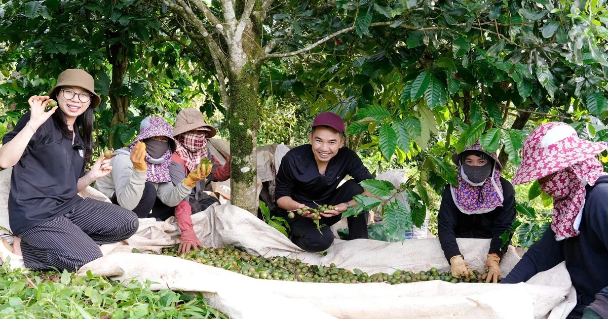 Đất nông nghiệp 30 triệu đồng/ha/năm vẫn khó hút vốn: Bài toán chi phí vận hành và rủi ro tín dụng từ câu chuyện Lâm Đồng - Đắk Nông