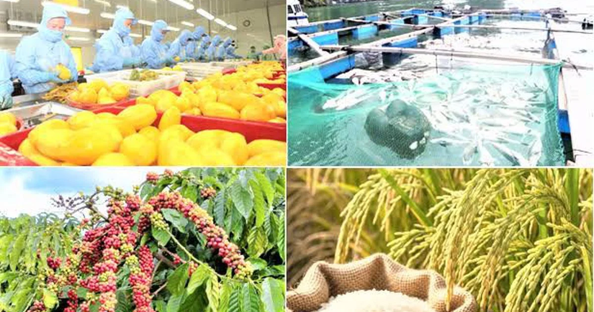 Xuất khẩu nông lâm thủy sản tháng 6/2026 tăng 10,1% so với cùng kỳ: Phân tích dòng tiền và cấu trúc thị trường
