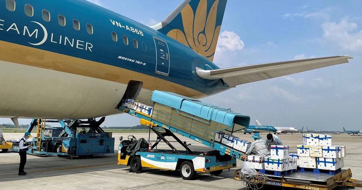 Doanh thu 162 tỉ USD thúc đẩy các hãng bay Việt đầu tư máy bay chở hàng riêng